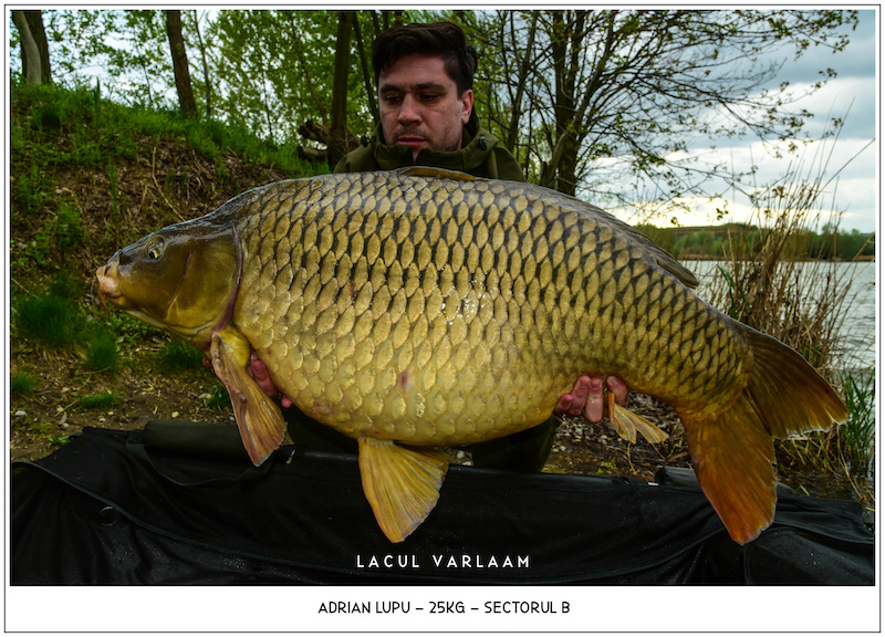 Adrian Lupu - 25kg, Sectorul B.jpg