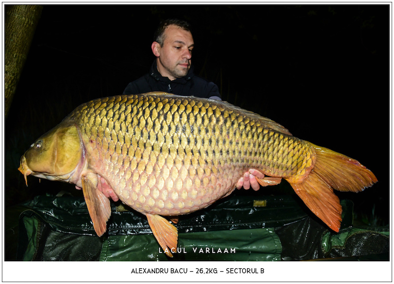 Alexandru Bacu - 26,2kg, Sectorul B.jpg