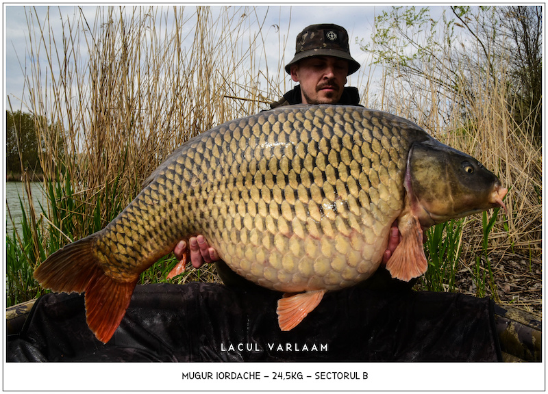 Mugur Iordache - 24,5kg, Sectorul B.jpg