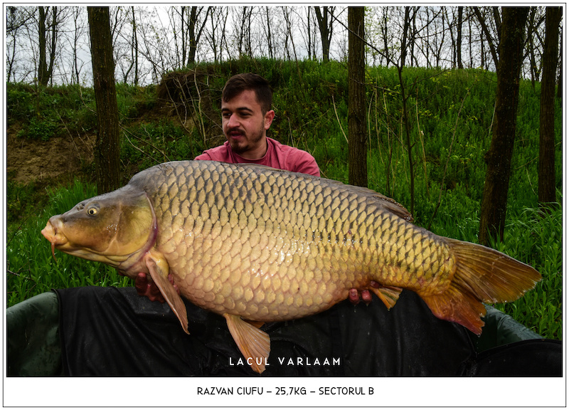 Razvan Ciufu - 25,7kg, Sectorul B.jpg