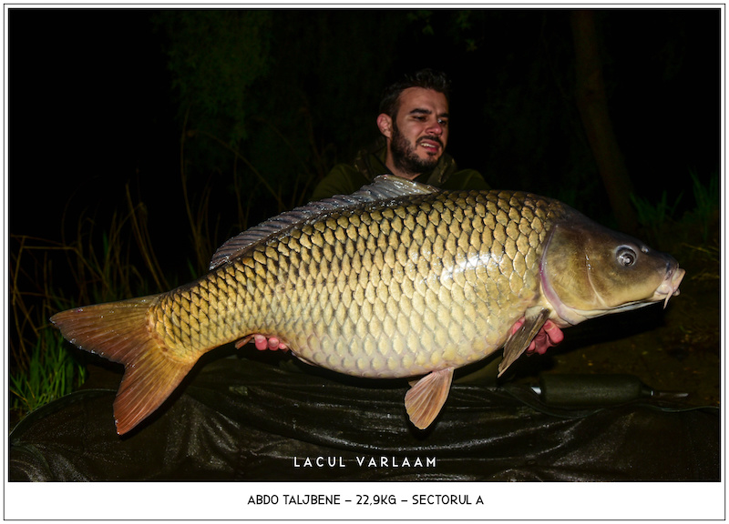 Abdo Taljbene - 22,9kg, Sectorul A.jpg