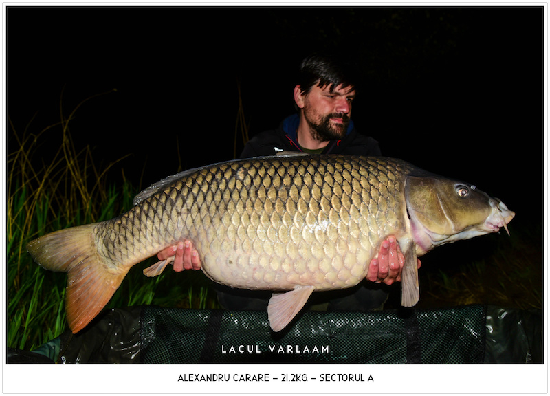 Alexandru Carare - 21,2kg, Sectorul A.jpg