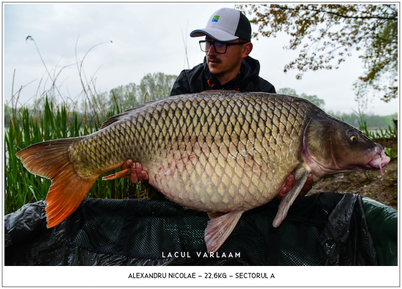 Alexandru Nicolae - 22,6kg, Sectorul A.jpg