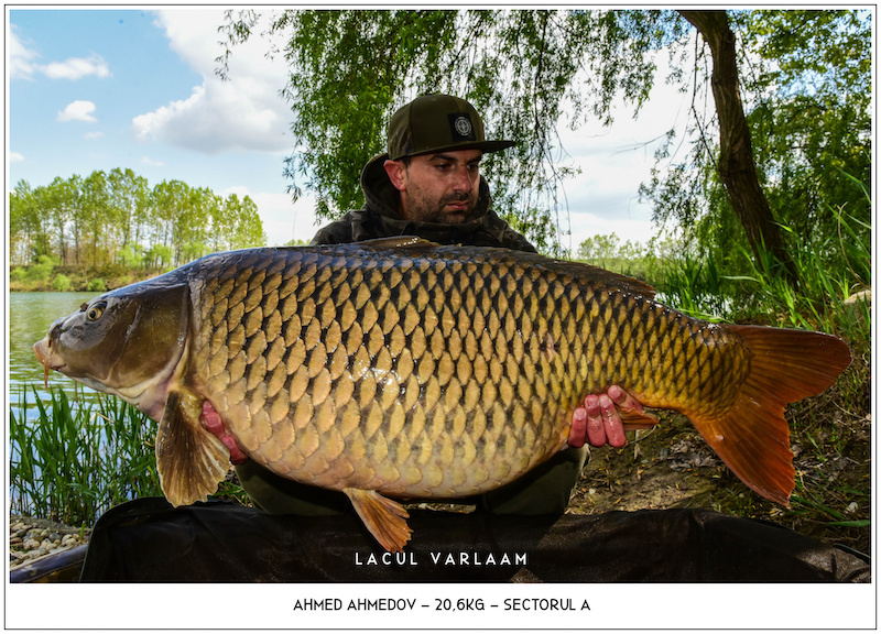 Ahmed Ahmedov - 20,6kg, Sectorul A #2.jpg