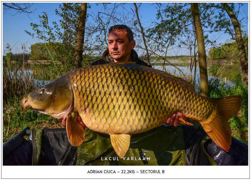 Adrian Ciuca - 22,2kg, Sectorul B.jpg