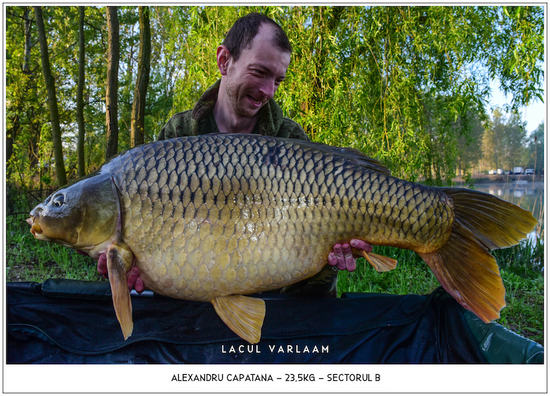 Alexandru Capatana - 23,5kg, Sectorul B.jpg