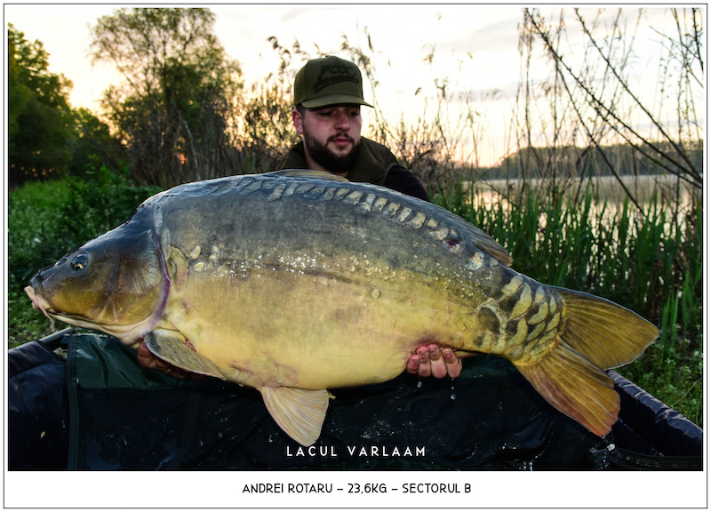 Andrei Rotaru - 23,6kg, Sectorul B.jpg