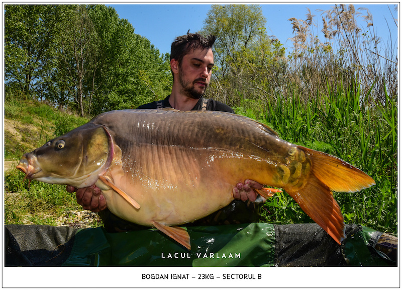 Bogdan Ignat - 23kg, Sectorul B.jpg