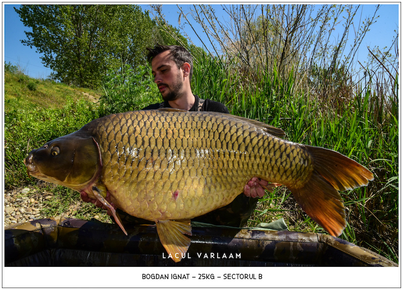 Bogdan Ignat - 25kg, Sectorul B.jpg