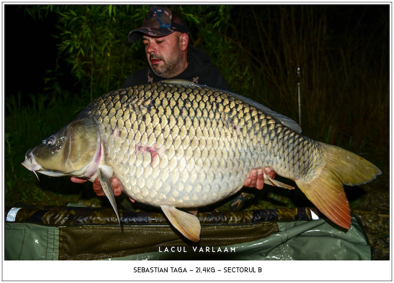 Sebastian Taga - 21,4kg, Sectorul B.jpg