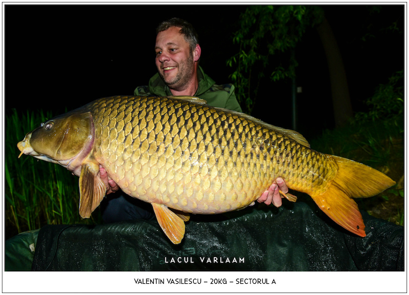 Valentin Vasilescu - 20kg, Sectorul A.jpg