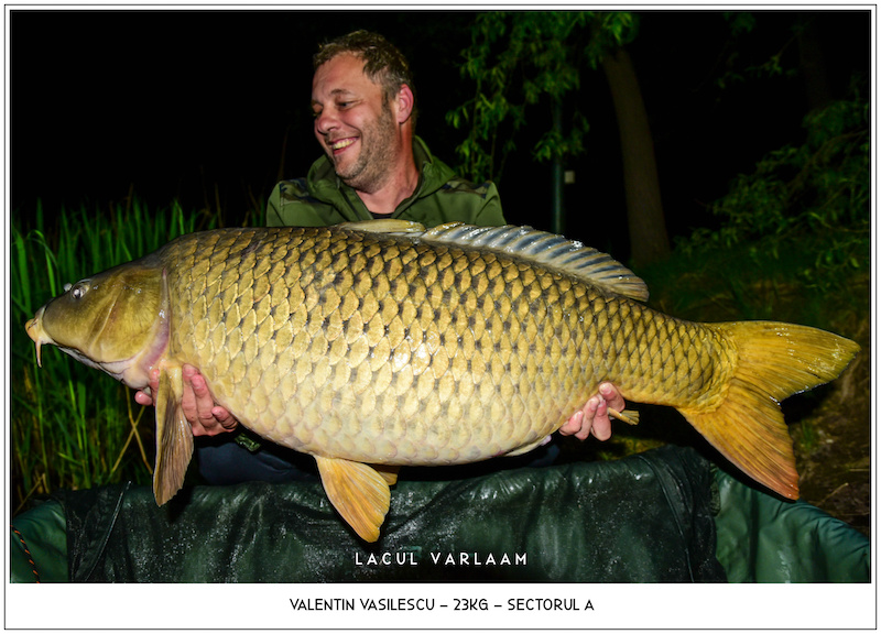 Valentin Vasilescu - 23kg, Sectorul A.jpg