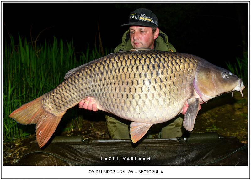 Ovidiu Sidor - 24,1kg, Sectorul A.jpg