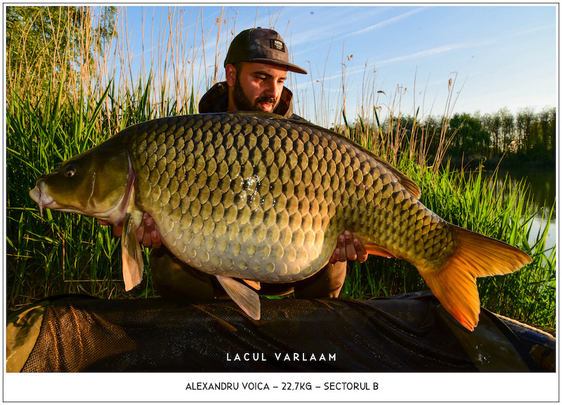 Alexandru Voica - 22,7kg, Sectorul B.jpg