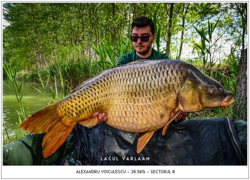 Alexandru Voiculescu - 26,5kg, Sectorul B.jpg