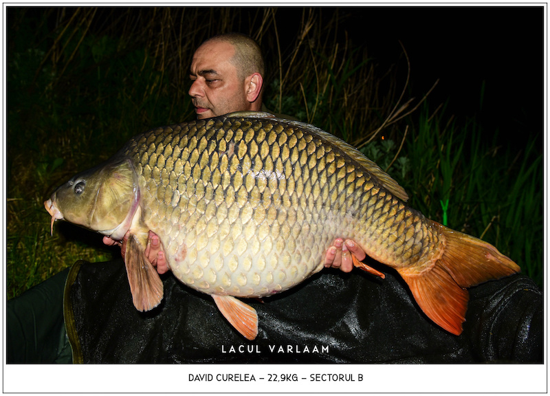 David Curelea - 22,9kg, Sectorul B.jpg