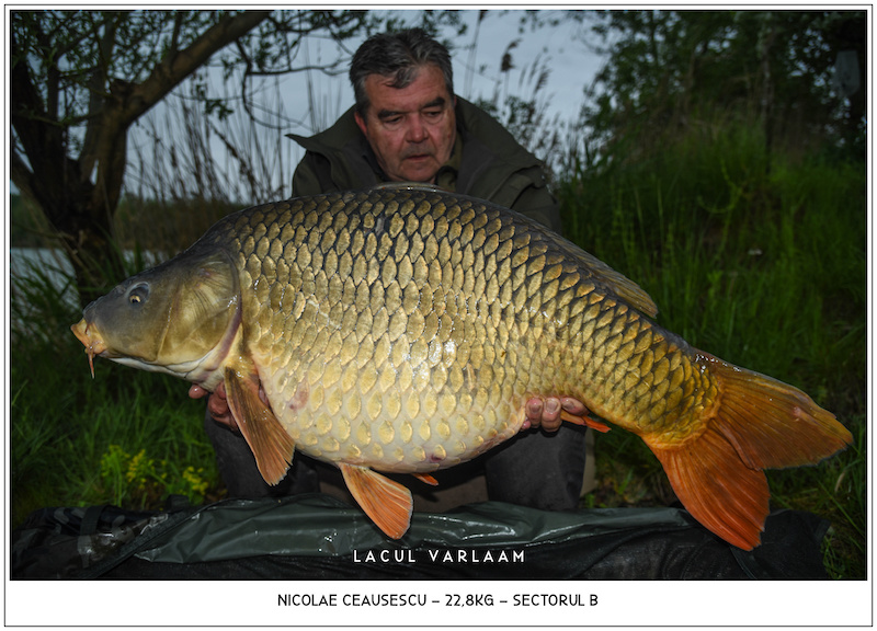 Nicolae Ceausescu - 22,8kg, Sectorul B.jpg