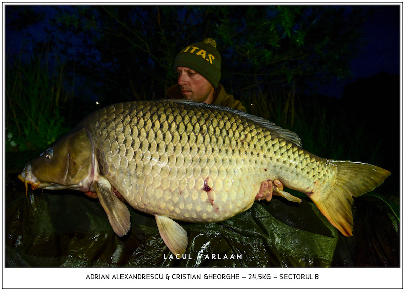 Adrian Alexandrescu - 24,5kg, Sectorul B (fotografiat de Cristian Gheorghe).jpg