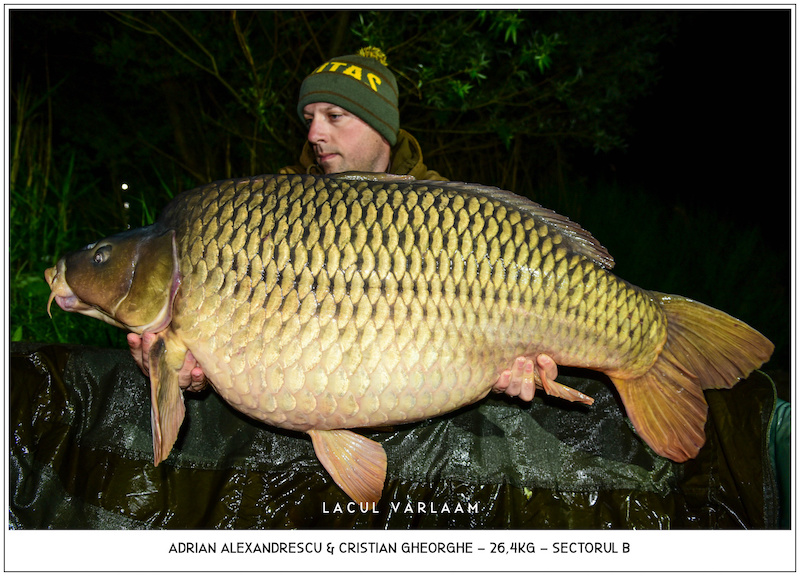 Adrian Alexandrescu - 26,4kg, Sectorul B (fotografiat de Cristian Gheorghe).jpg