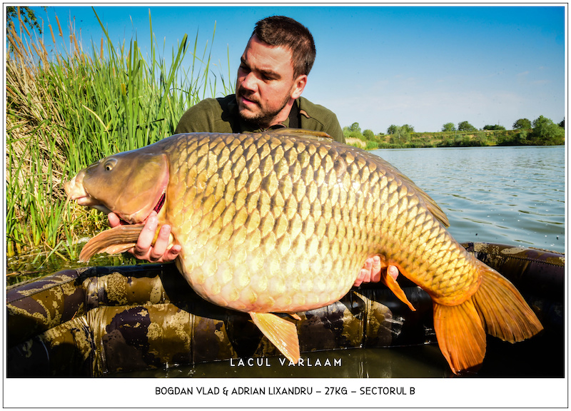 Bogdan Vlad - 27kg, stand B13 (fotografiat de Adrian Lixandru).jpg