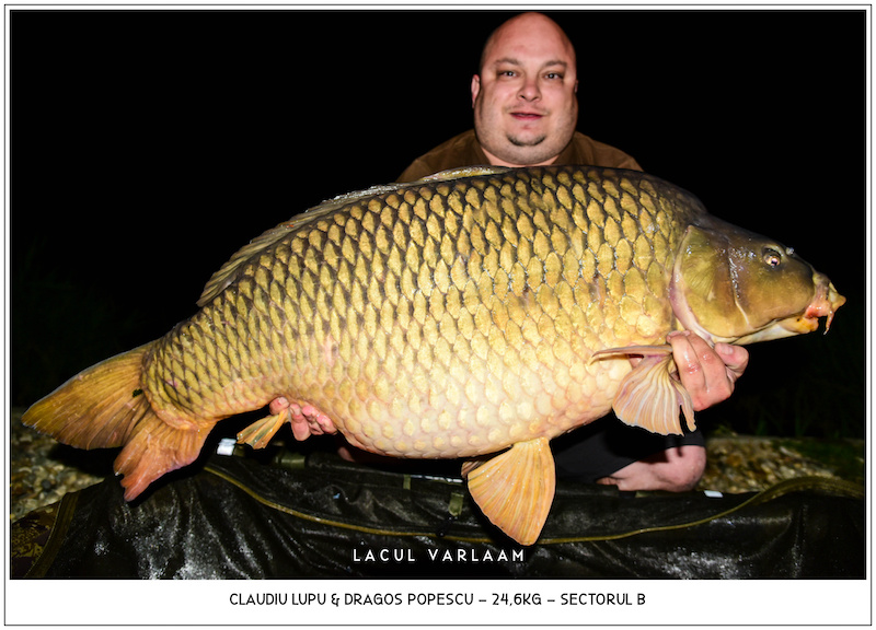 Claudiu Lupu - 24,6kg, Sectorul B (fotografiat de Dragos Popescu).jpg