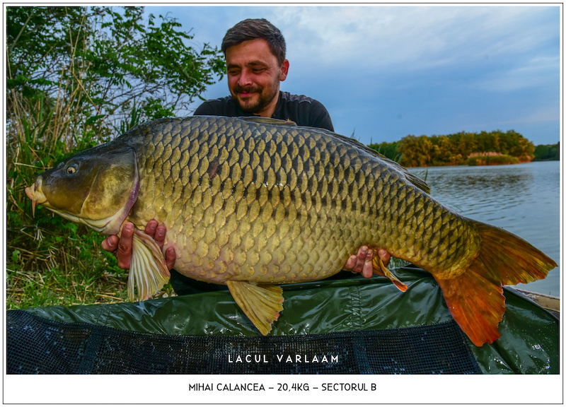 Mihai Calancea - 20,4kg, Sectorul B.jpg