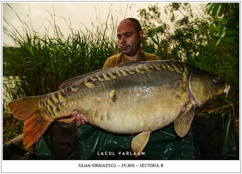 Iulian Iorgulescu - 24,3kg, Sectorul B.jpg