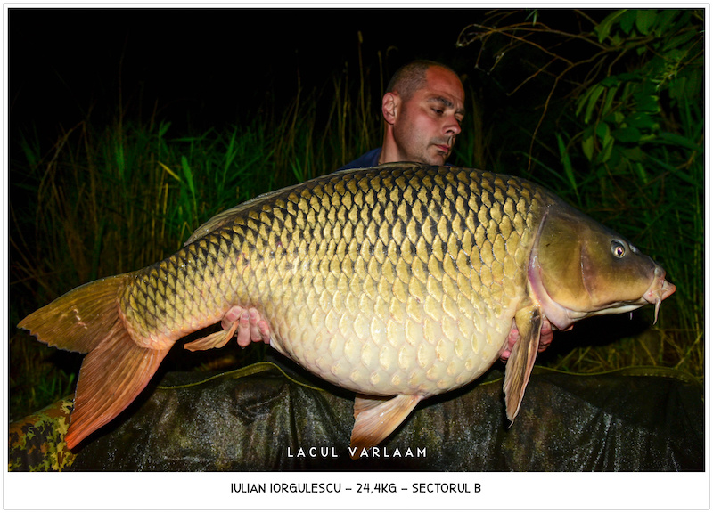 Iulian Iorgulescu - 24,4kg, Sectorul B.jpg