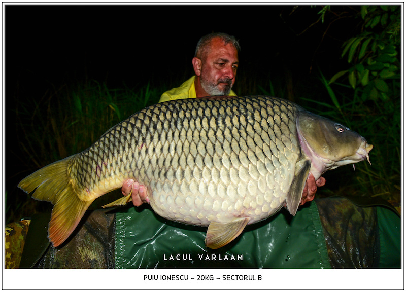 Puiu Ionescu - 20kg, Sectorul B.jpg