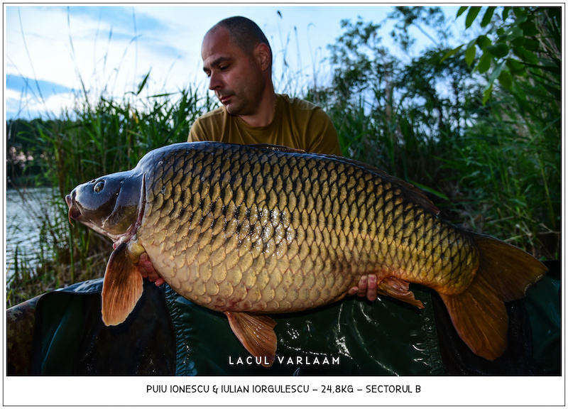 Puiu Ionescu - 24,8kg, Sectorul B (fotografiat de Iulian Iorgulescu).jpg