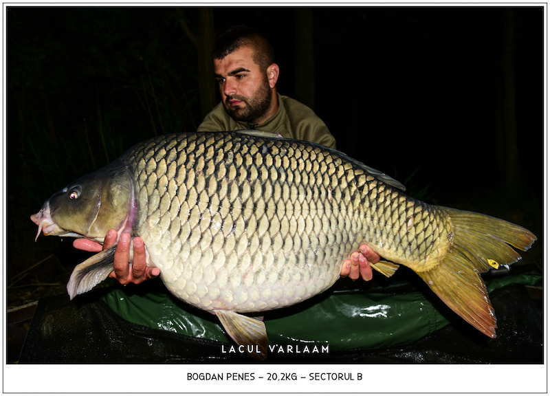 Bogdan Penes - 20,2kg, Sectorul B.jpg