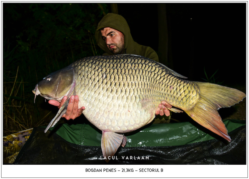 Bogdan Penes - 21,3kg, Sectorul B.jpg