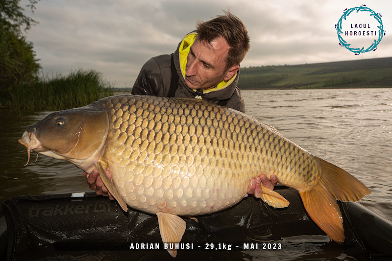 Adrian Buhusi - 29,1kg.jpg