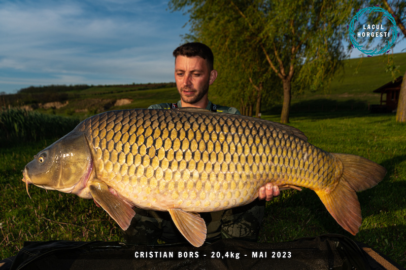 Cristian Bors - 20,4kg.jpg