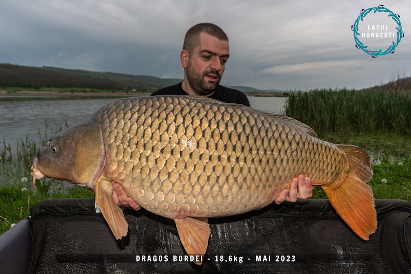 Dragos Bordei - 18,6kg.jpg