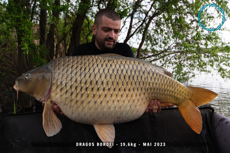Dragos Bordei - 19,6kg.jpg