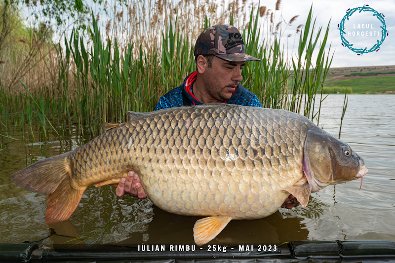 Iulian Rimbu - 25kg.jpg