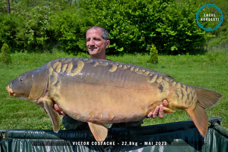 Victor Costache - 22,8kg.jpg