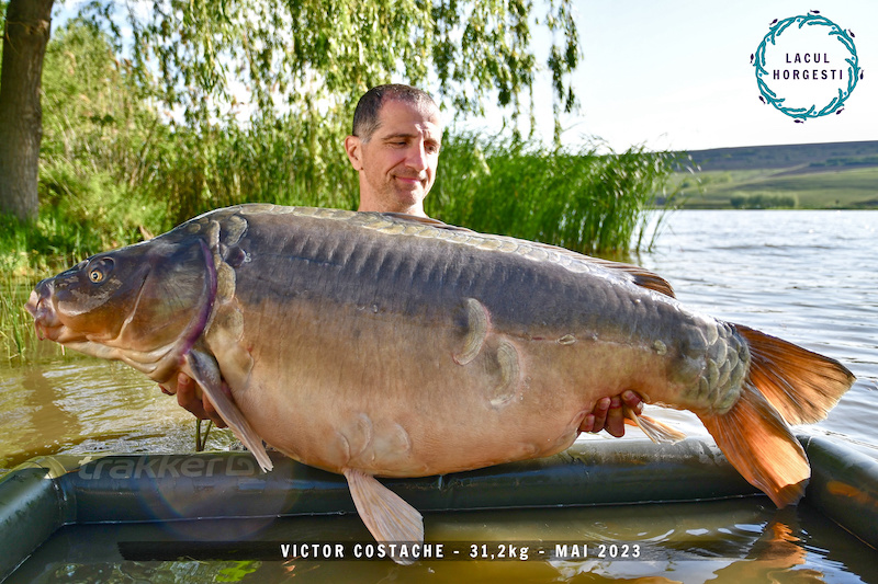 Victor Costache - 31,2kg.jpg