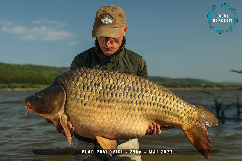 Vlad Pavlovici - 29kg.jpg