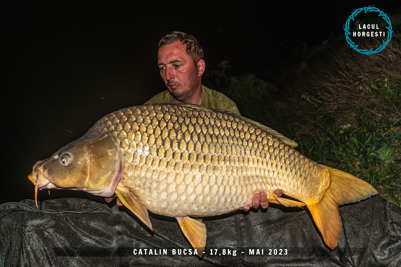 Catalin Bucsa - 17,8kg.jpg