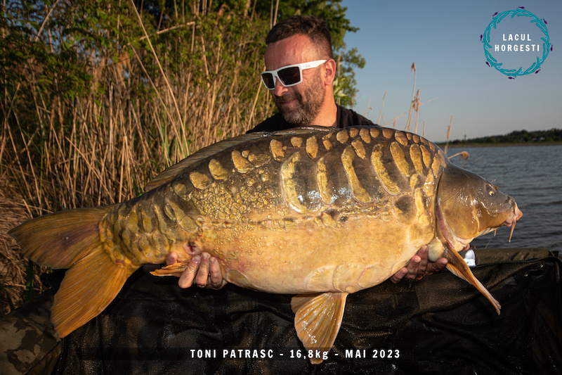 Toni Patrasc - 16,8kg.jpg