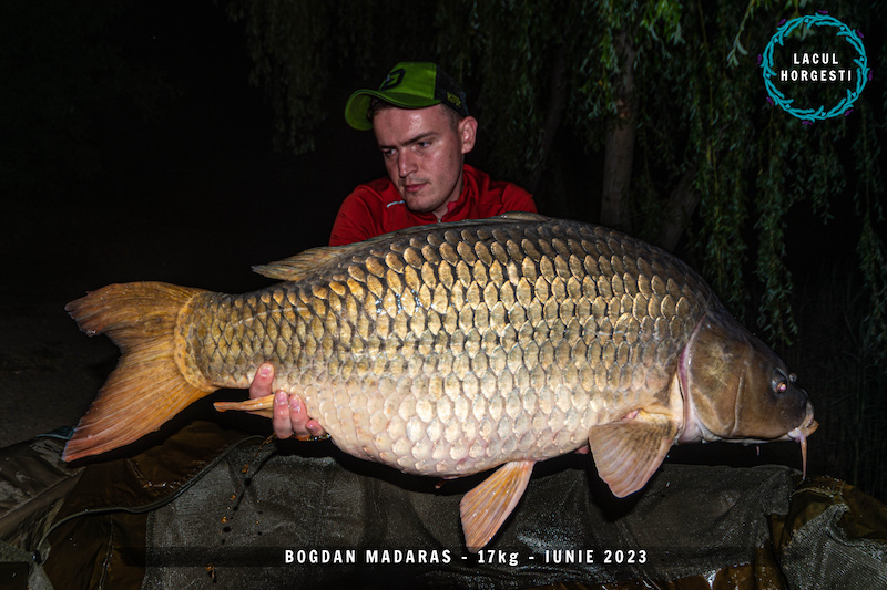 Bogdan Madaras - 17kg.jpg