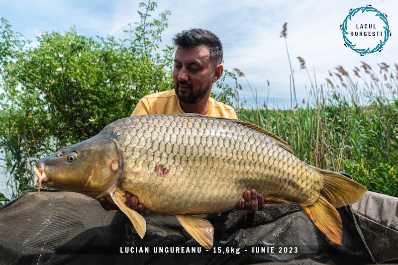 Lucian Ungureanu - 15,6kg.jpg