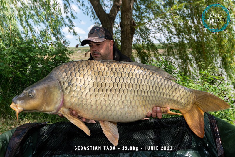 Sebastian Taga - 19,8kg.jpg