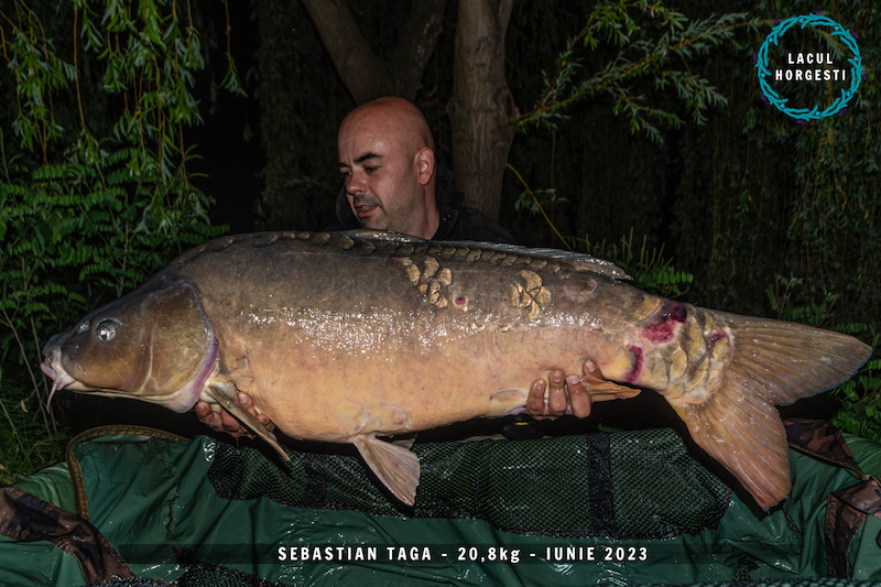 Sebastian Taga - 20,8kg.jpg