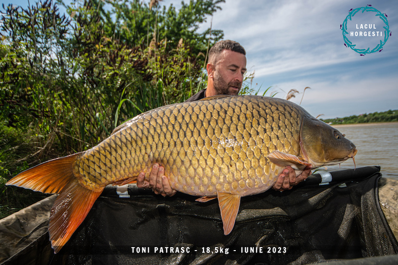 Toni Patrasc - 18,5kg.jpg