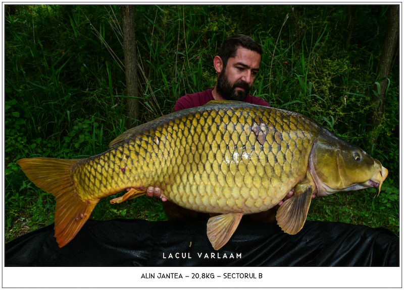 Alin Jantea - 20,8kg, Sectorul B.jpg