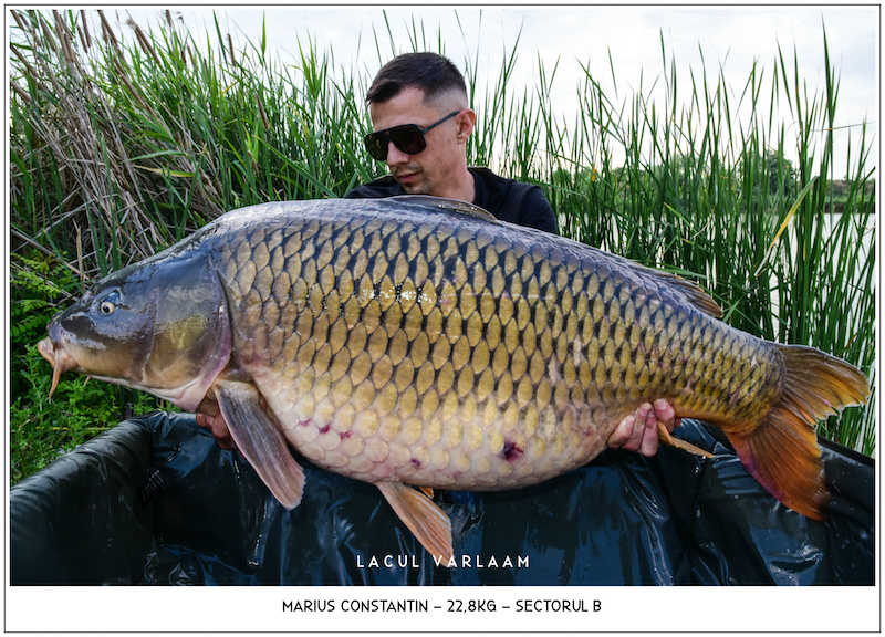 Marius Constantin - 22,8kg, Sectorul B.jpg