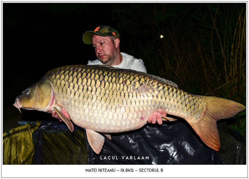 Matei Niteanu - 19,8kg, Sectorul B.jpg